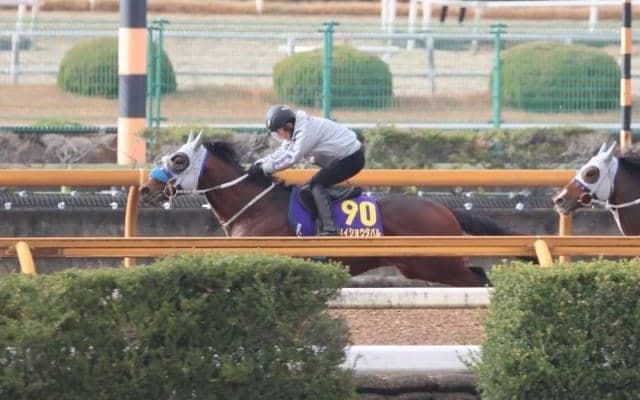 メイショウタバル、有馬記念1週前追い切り速報//栗東トレセンニュース