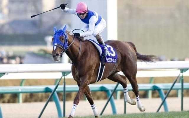 有馬記念配当ランキング 歴代1位は98万5580円…1番人気勝利でもヒモ荒れ
