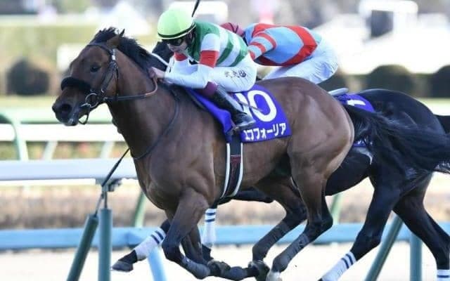 全兄はGI・3勝のエフフォーリア エヴィーヴァがデビューVなるか