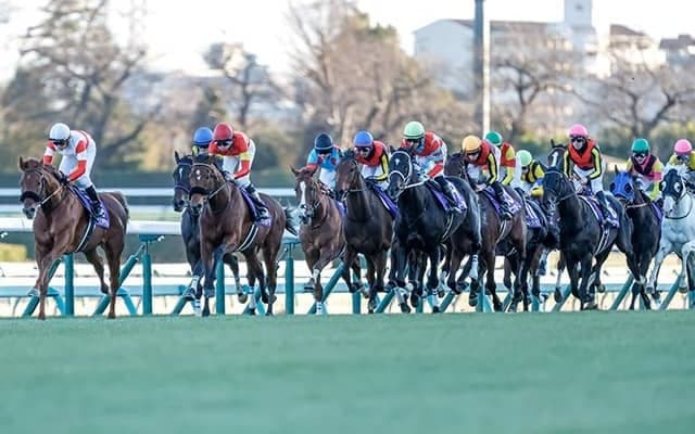 全10話を終えた日曜劇場『ザ・ロイヤルファミリー』 登場した豪華なホースマンや馬たちを紹介