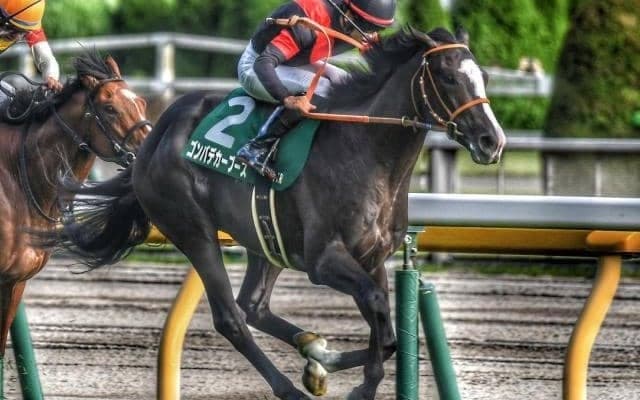 【ディセンバーS】23年のサウジアラビアRC覇者 ゴンバデカーブースが1年ぶりの復帰戦だ