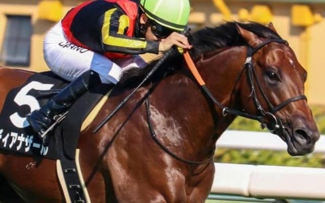 【六甲アイランドS】叔母は名牝ジェンティルドンナ ディアナザールが3連勝なるか