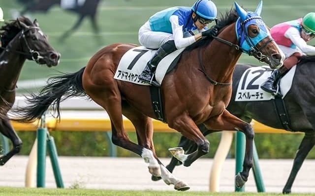 【朝日杯FS枠順確定】アドマイヤクワッズは7枠12番、リアライズシリウスは8枠13番