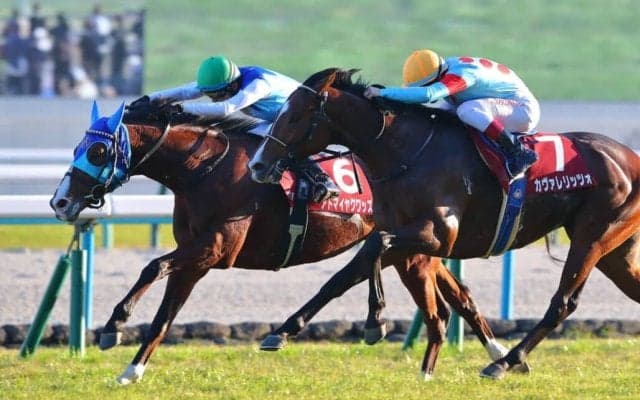 【朝日杯FS】アドマイヤクワッズは474kg…出走馬の調教後における馬体重