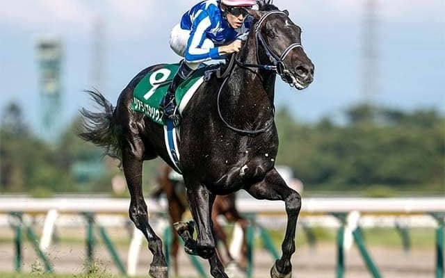 朝日杯FSは前走勝ち馬が圧倒的 17年連続で勝利中