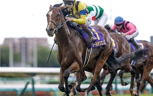 23年皐月賞馬ソールオリエンスが登録抹消 今後はブリーダーズ・スタリオン・ステーションで種牡馬入りへ