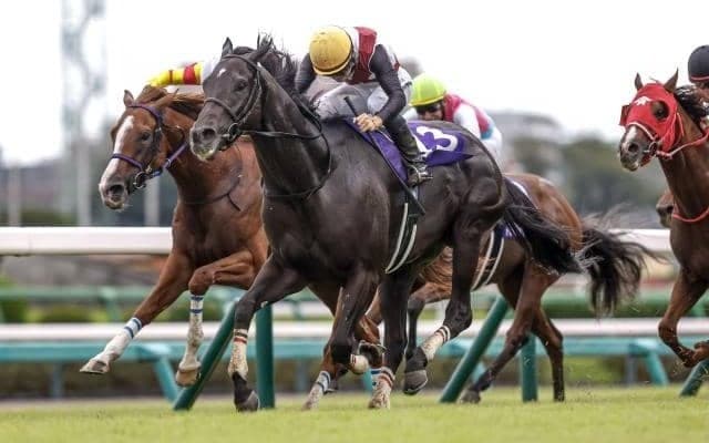 【阪神C想定馬・騎手】ルガル、ナムラクレアなど17頭