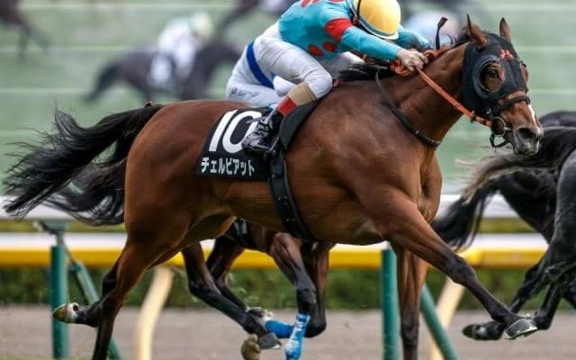 【今日の注目ポイント】中山で牝馬のハンデ重賞ターコイズS