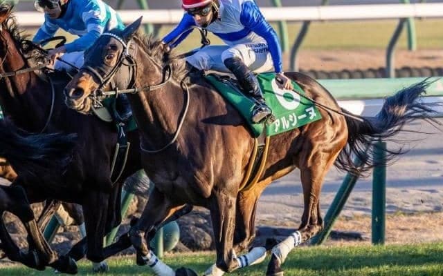 ターコイズSは波乱傾向のハンデ戦 血統にも注目