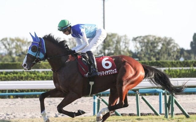 【競馬予想】朝日杯FS、ホープフルＳの勝ち馬は？　そのヒントが隠されている「２歳牡馬ランキング」