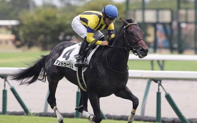 【競馬予想】確たる主役不在の「２歳牡馬ランキング」　混戦を抜け出す有力候補は？