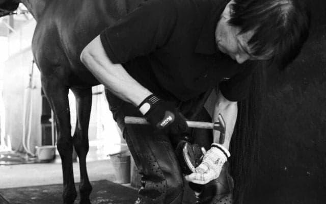 【装蹄師・西内荘コラム】年末へ向かう不安定な気候と2歳ダート王誕生