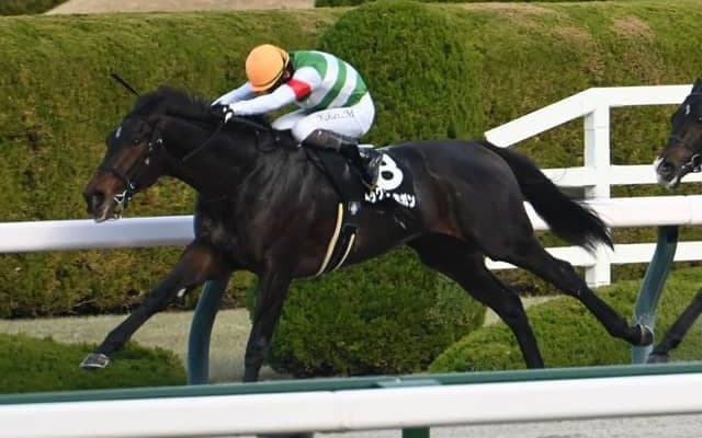 【ポインセチアS結果】初ダートのロックターミガンが逃げ切りV