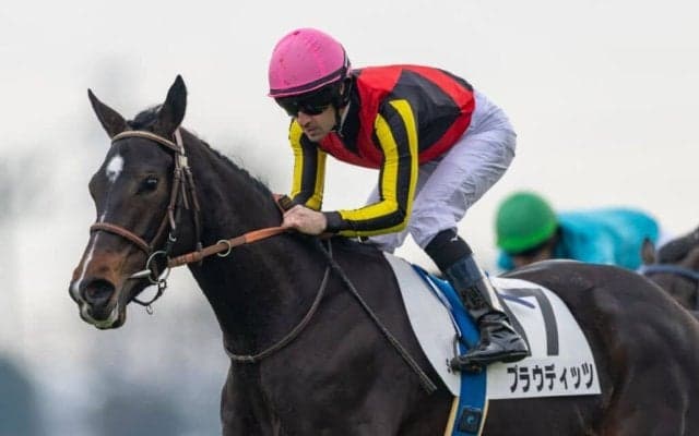 【新馬/中山5R】大物感溢れるプラウディッツがデビューV