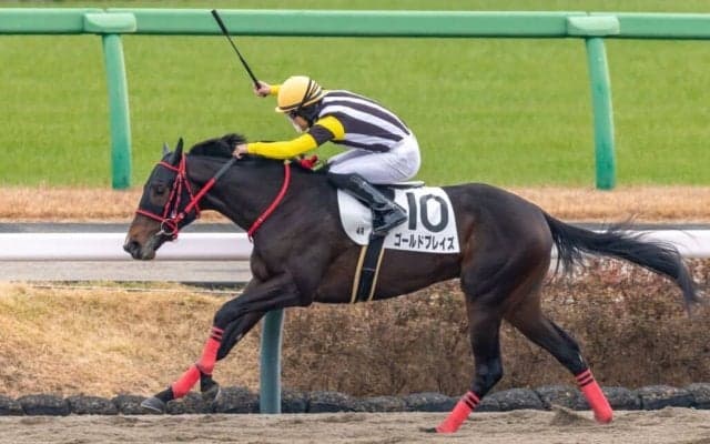 【新馬/中山4R】ゴールドドリーム産駒 ゴールドブレイズがデビューV