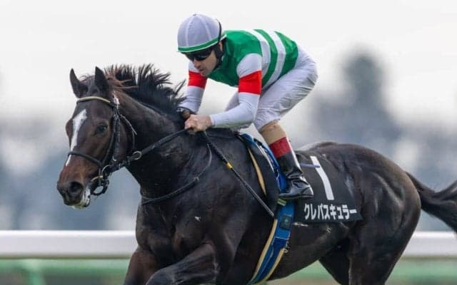 【ひいらぎ賞】断然人気クレパスキュラーがデビュー2連勝