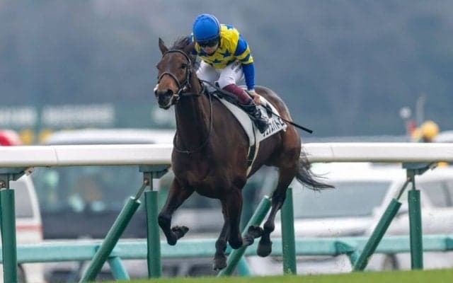 【新馬/中山6R】4億円ホースは4着敗退…伏兵リュクスパトロールが逃げ切る