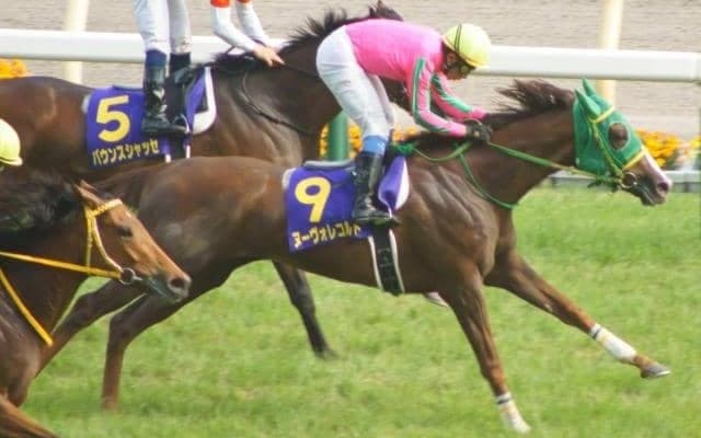 母はオークス馬のヌーヴォレコルト トリニティがC.ルメール騎手で新馬勝ち狙う