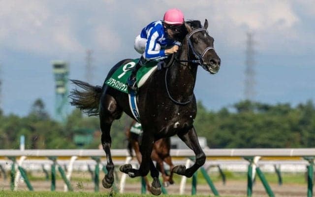 【朝日杯FS】リアライズシリウス8枠13番へ