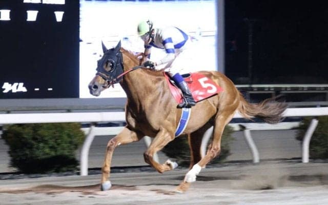 【鏡川特別】10歳馬健在！アルドーレが快勝