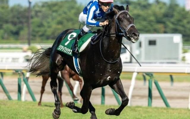 霜降り明星・粗品が朝日杯FSを予想 リアライズシリウスで勝負だ