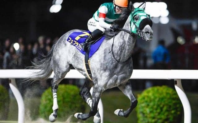 【浦和・ゴールドC枠順】重賞4勝目を狙うフェブランシェは6枠9番
