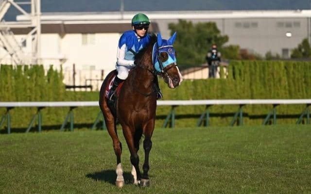 【今日の注目ポイント】阪神で2歳マイル王決定戦・朝日杯FS