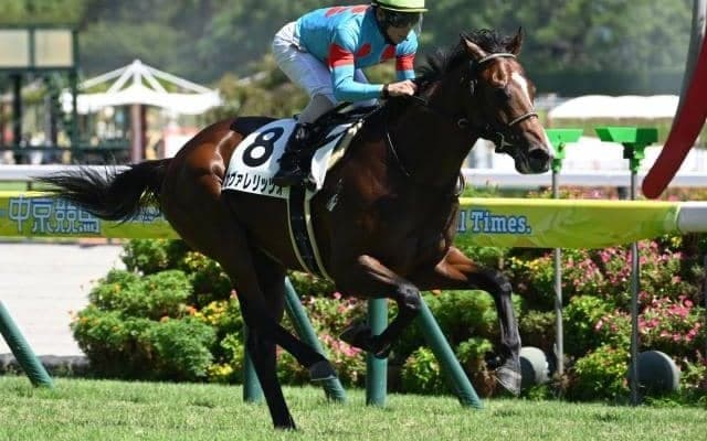 【朝日杯FS予想】2歳マイル王決定戦 瞬発力が問われる一戦