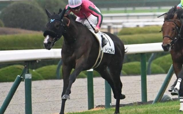 【阪神5R新馬戦結果】トリニティが押し切り新馬勝ち 母はオークス馬ヌーヴォレコルト