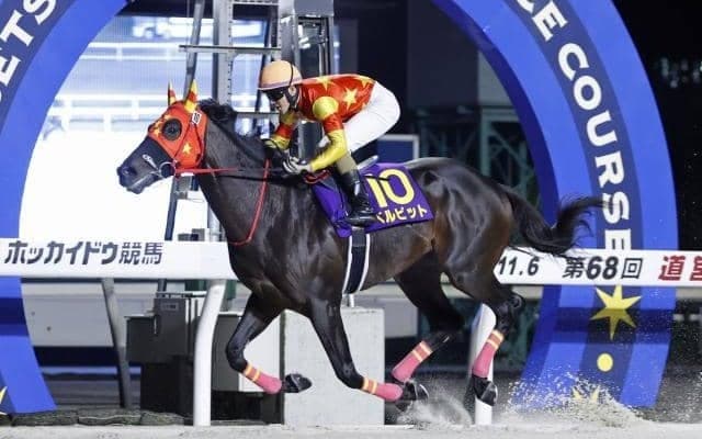 【名古屋大賞典枠順】ホッカイドウ競馬で重賞15勝を挙げているベルピットは5枠5番