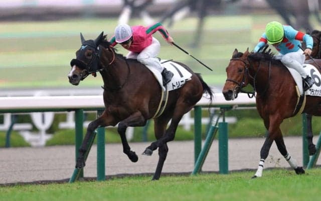 【新馬/阪神5R】良血トリニティが快勝…母はヌーヴォレコルト