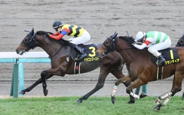 【ディセンバーS】3歳馬ドラゴンブーストが逃げ切る…半年以上の休養明け