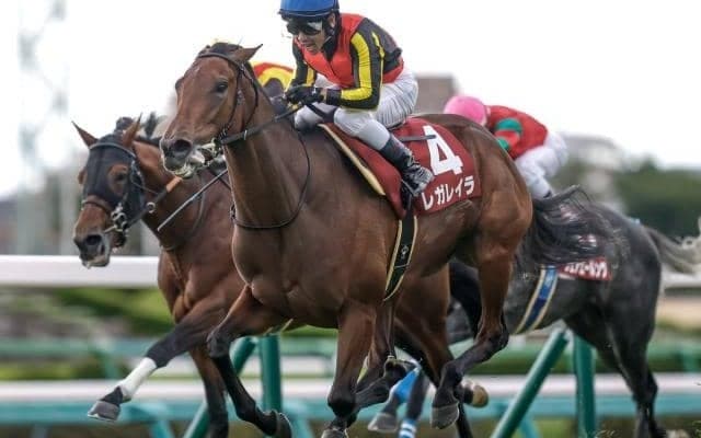 有馬記念と土曜にホープフルS・中山大障害・阪神C/今週の競馬界の見どころ