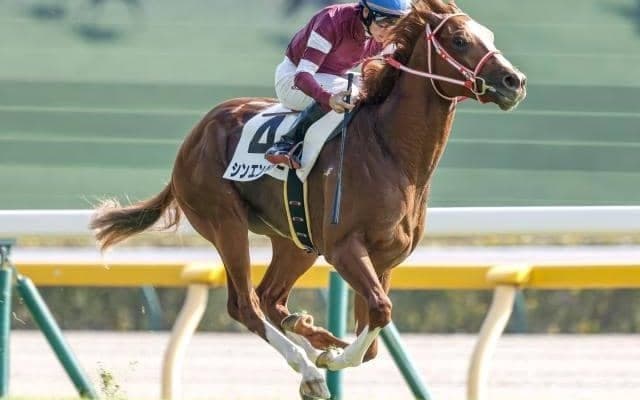 「ウマ娘」の藤田晋オーナーが有馬記念でJRA・GI初制覇なるか これまで挑戦した馬たちは