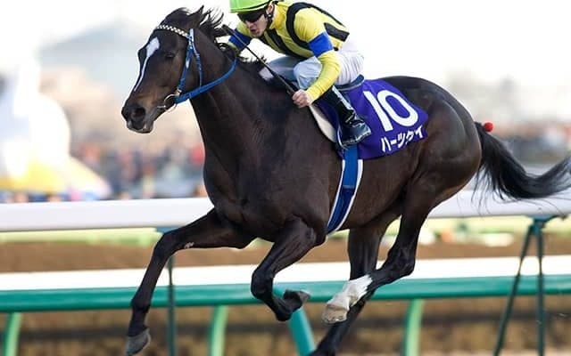 ディープインパクト唯一の国内敗戦 ハーツクライが制した20年前の有馬記念