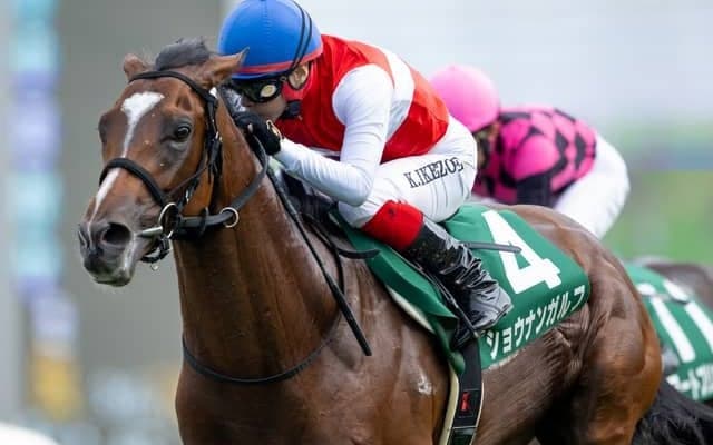 【ホープフルS見どころ】ショウナンガルフが無敗戴冠を狙う