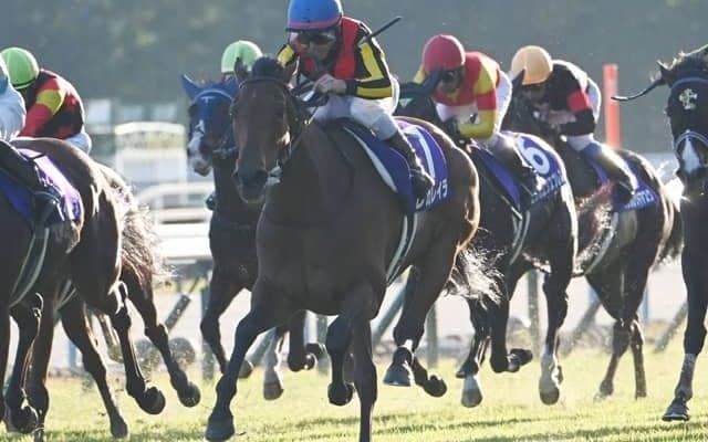 【有馬記念見どころ】昨年の覇者で充実期のレガレイラが連覇に挑む