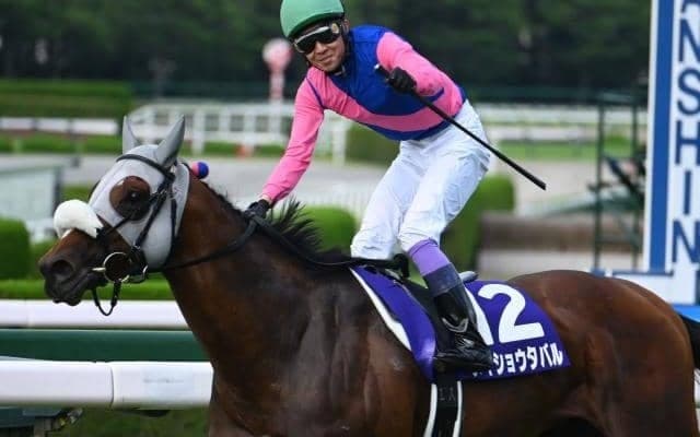 「あなたが有馬記念で“夢を託す”一頭は？」 大一番を前に熱き思いが続々と