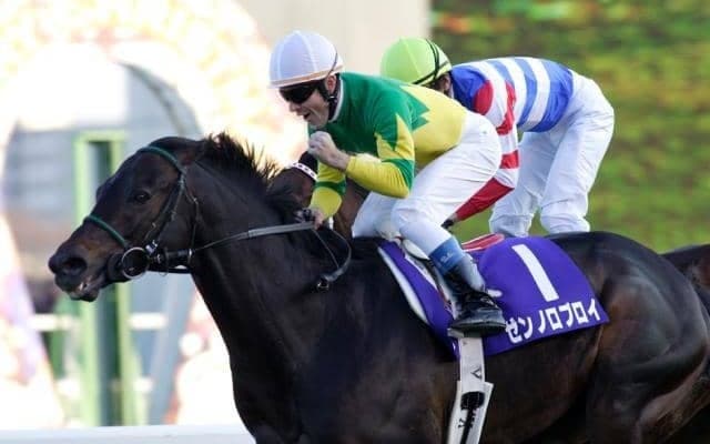 有馬記念勝ち時計ランキング 04年秋古馬三冠Vの快挙が今なお1位