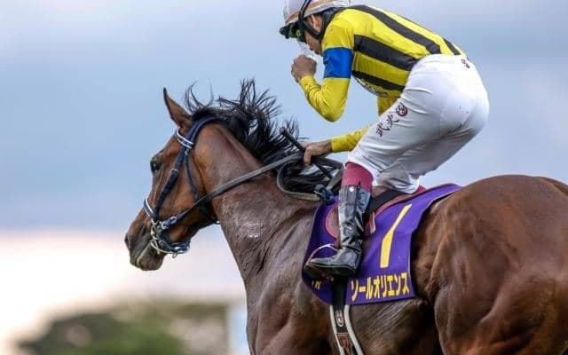 【先週のJRA抹消馬】23年皐月賞馬のソールオリエンス、ダート短距離重賞5勝のリメイクなど