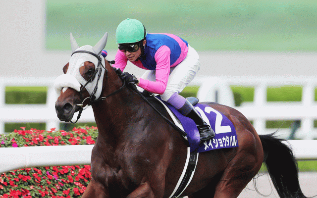 【有馬記念／サイン馬券】高市首相ばりに働く女傑レガレイラか、リアル・ロイヤルファミリーのメイショウタバルか