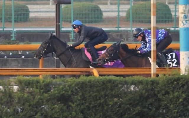 友道師「武豊騎手も好感触をつかんでくれた」 ローズラフィネが土曜阪神で初陣/関西馬メイクデビュー情報