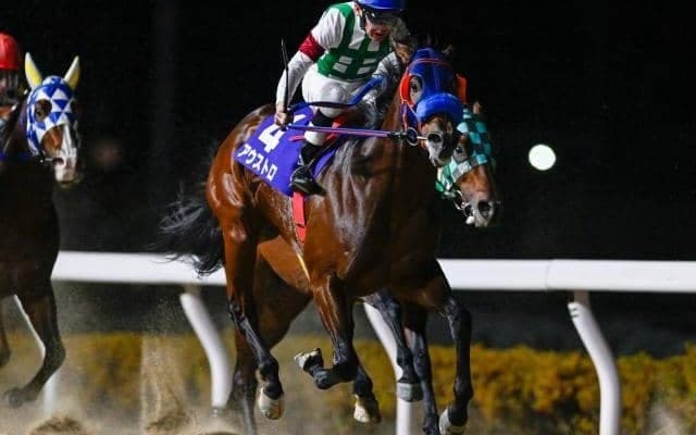 【浦和・ゴールドC注目馬】南関東の短距離戦線を締めくくる一戦に豪華メンバー集結