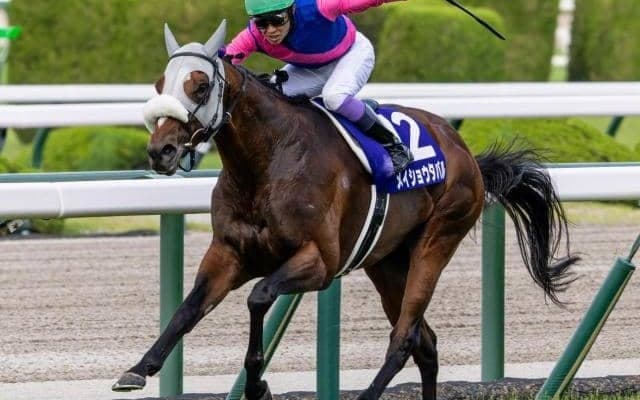 【有馬記念】武豊騎手が歴代単独トップの5勝目なるか 宝塚記念覇者のメイショウタバルで参戦