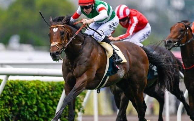 【AI予想・有馬記念】今年の有馬記念は大荒れの予感!? 波乱を示唆する人工知能の本命候補とは