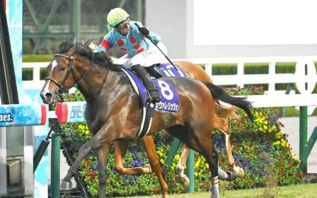 2歳マイル王者に輝いたカヴァレリッツォ 血統構成は成功馬多数の要注目配合