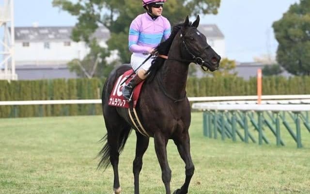 【阪神C想定騎手】ナムラクレアはC.ルメール騎手、ジューンブレアは武豊騎手