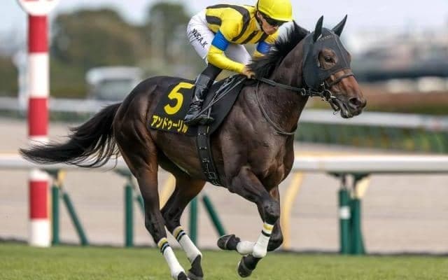 【ホープフルS想定騎手】アンドゥーリルは川田将雅騎手、ショウナンガルフは池添謙一騎手