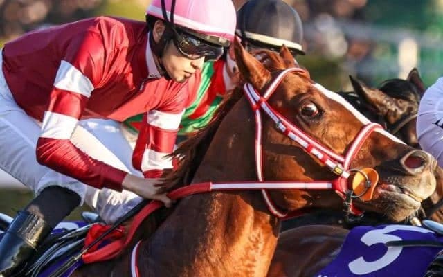 【有馬記念】外国産馬として18年ぶりの参戦 シンエンペラーがGI初制覇なるか