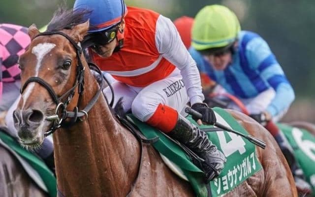 【ホープフルS】「ショウナン」の国本哲秀オーナー ショウナンガルフで10年ぶりのGI制覇なるか